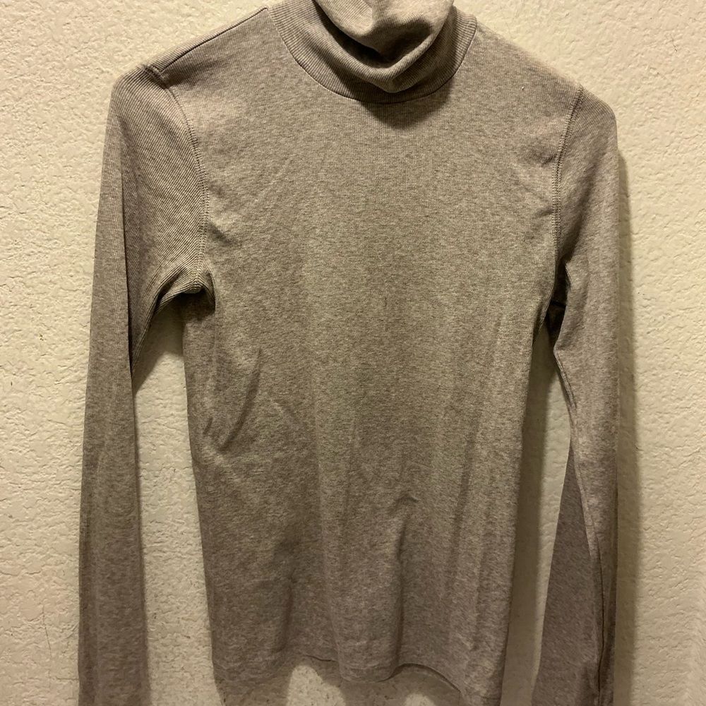 NwOT Everlane Turtleneck Long Sleeve Top